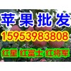 美国八号苹果大降价15953983808