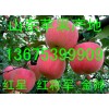 今日红星苹果多少钱一斤中秋福利果