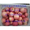红富士苹果种植产地市场直销价格15020310061