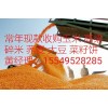 玉米收购企业 常年求购玉米高粱大豆棉粕次粉荞麦油糠碎米