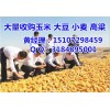 大量收购各地玉米;民发收购小麦大豆（实力厂家）