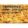 大量收购玉米大豆高粱小麦大米青饼麸皮棉粕豆粕次粉等饲料原料