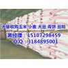 哪里长期收购玉米；民发高价收购（优质厂家）