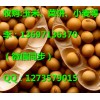 玉米价格走势 哪里收购玉米垄上养殖厂收购玉米大豆高粱
